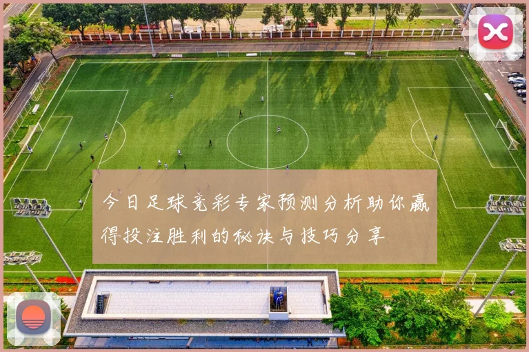 今日足球竞彩专家预测分析助你赢得投注胜利的秘诀与技巧分享