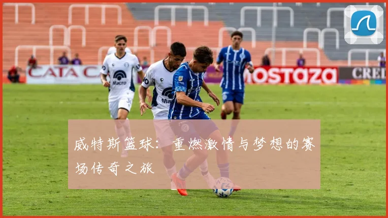 威特斯篮球：重燃激情与梦想的赛场传奇之旅