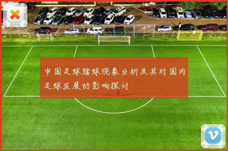 中国足球赌球现象分析及其对国内足球发展的影响探讨