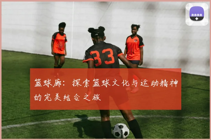 篮球廊：探索篮球文化与运动精神的完美结合之旅