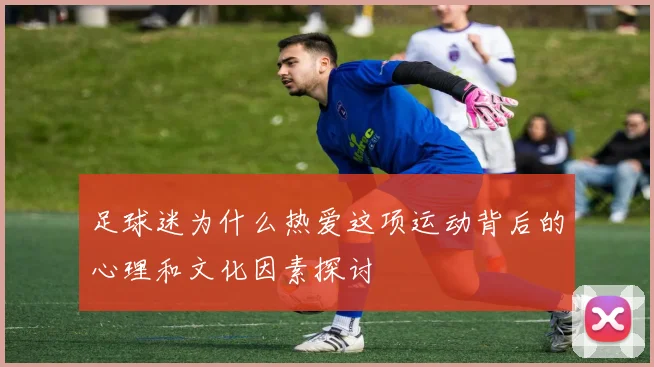 足球迷为什么热爱这项运动背后的心理和文化因素探讨